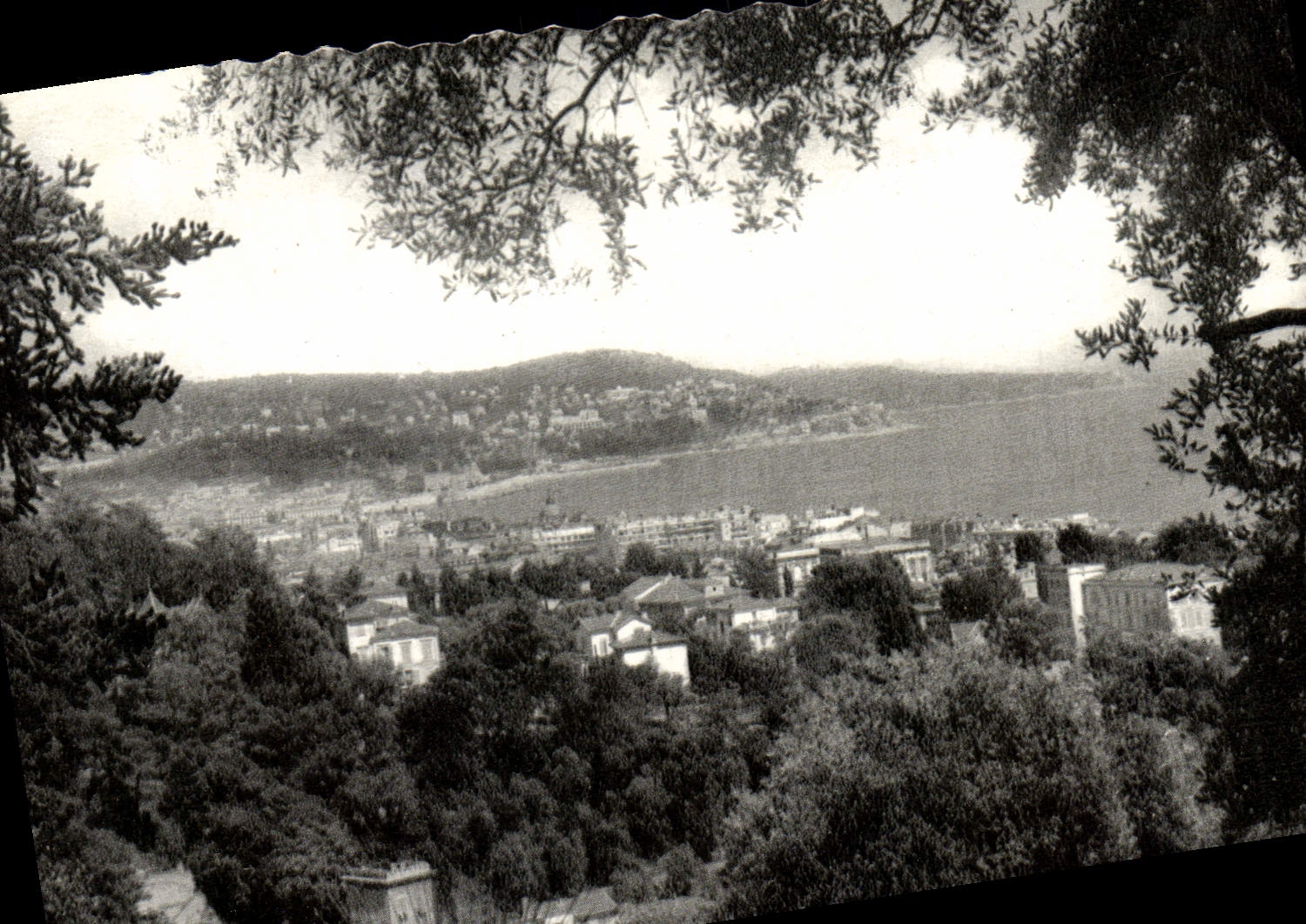 Lugar visto de la POSTAL de la VENDIMIA Niza de Bellet