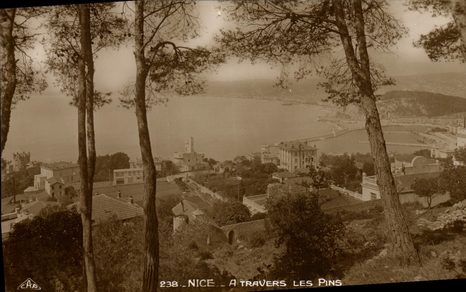 POSTAL de la VENDIMIA Niza a través de los pinos