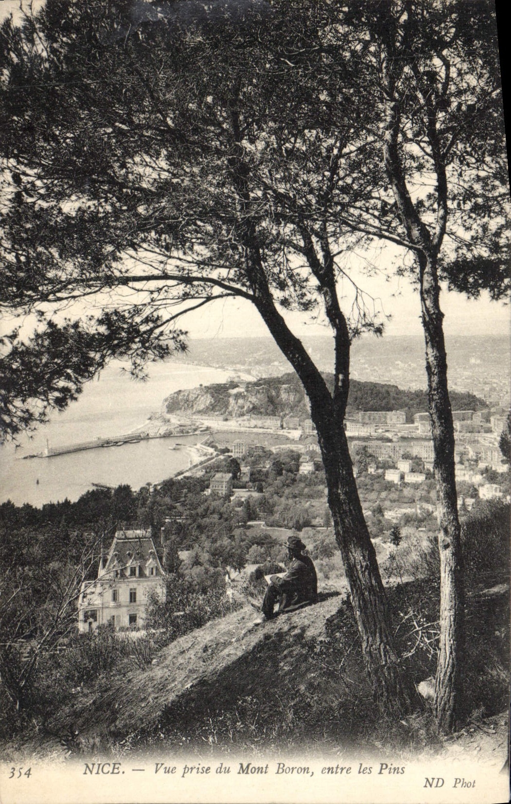 La POSTAL de la VENDIMIA Niza vista del montaje del boro inscribe los pinos