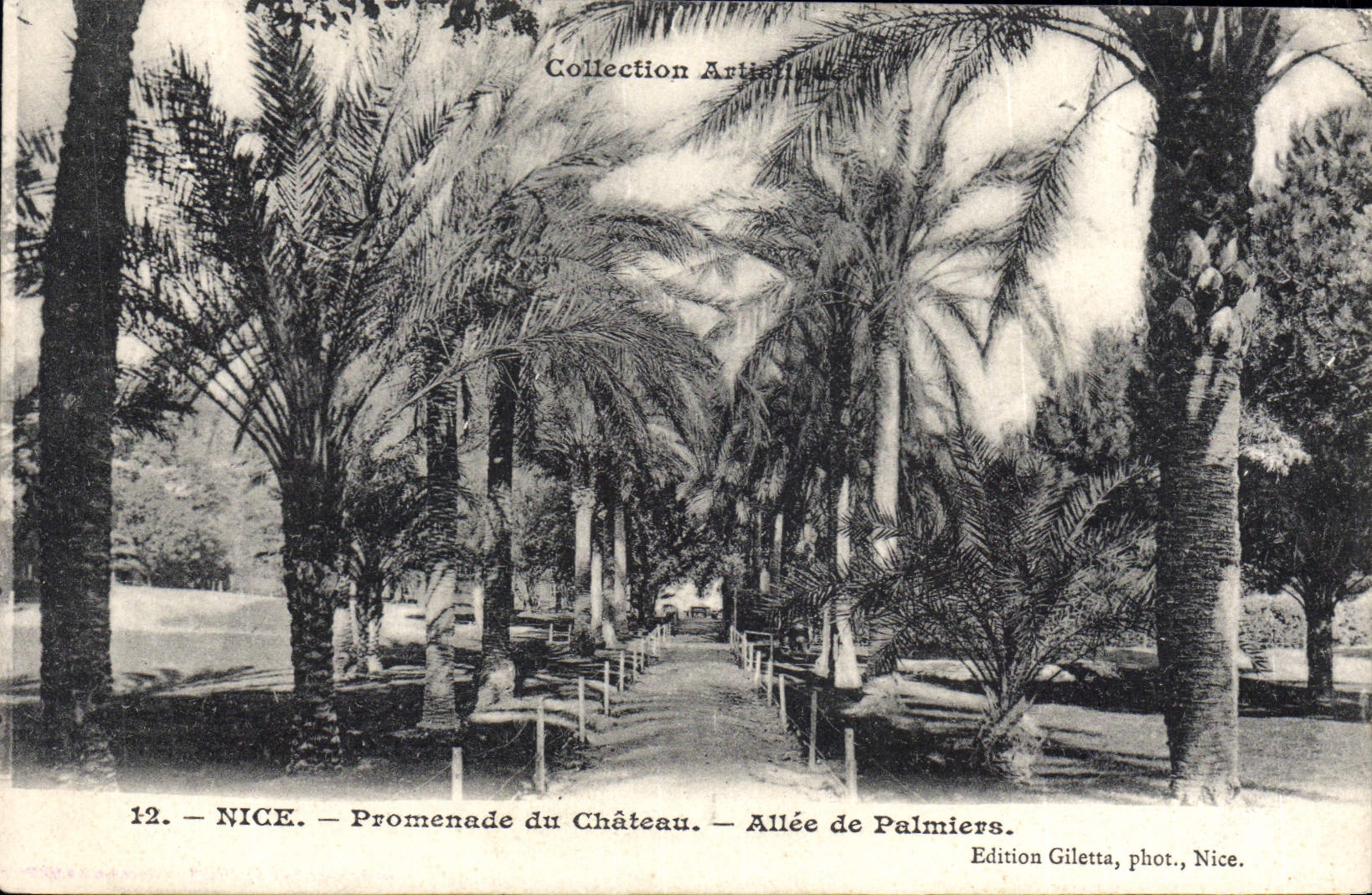 VINTAGE POSTCARD Nice Walk of the Castle Gone of palm trees