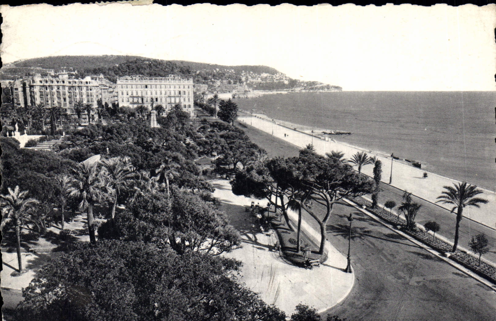 CPA Nice Vue Des Jardins Albert 1er