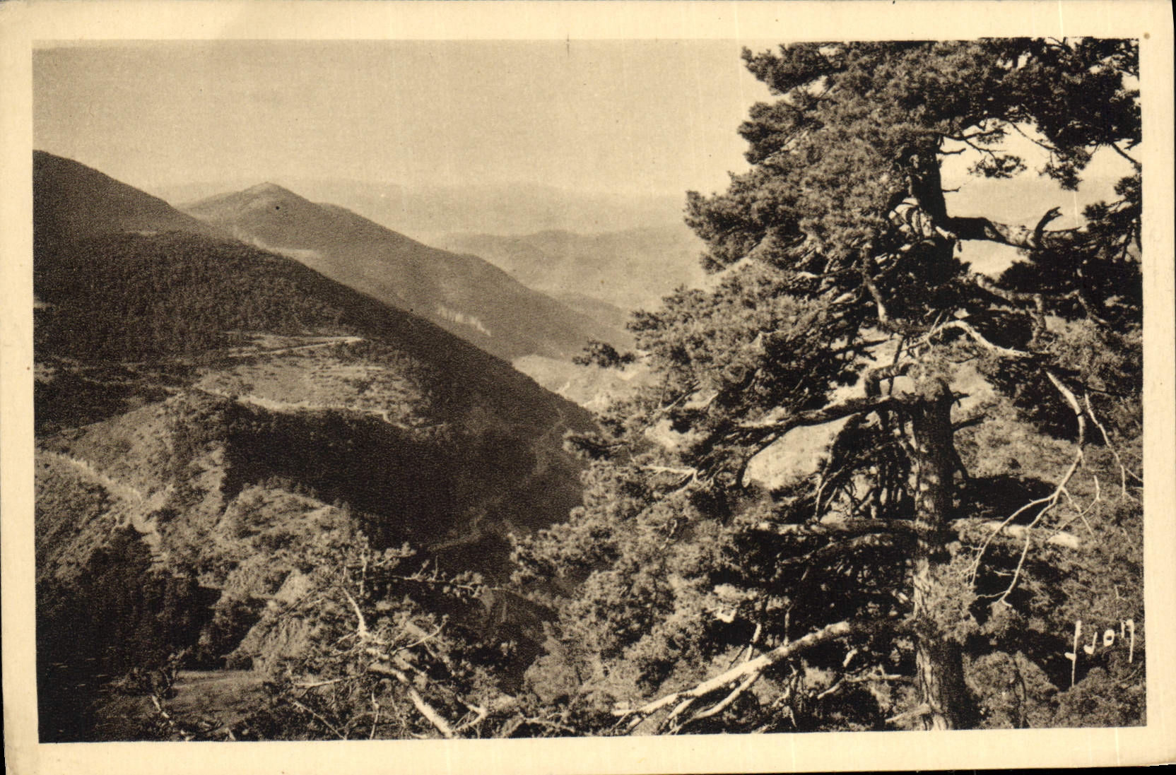 VINTAGE POSTCARD Of Nice Sospel by Peira Cava Turini the collar of the Elm has