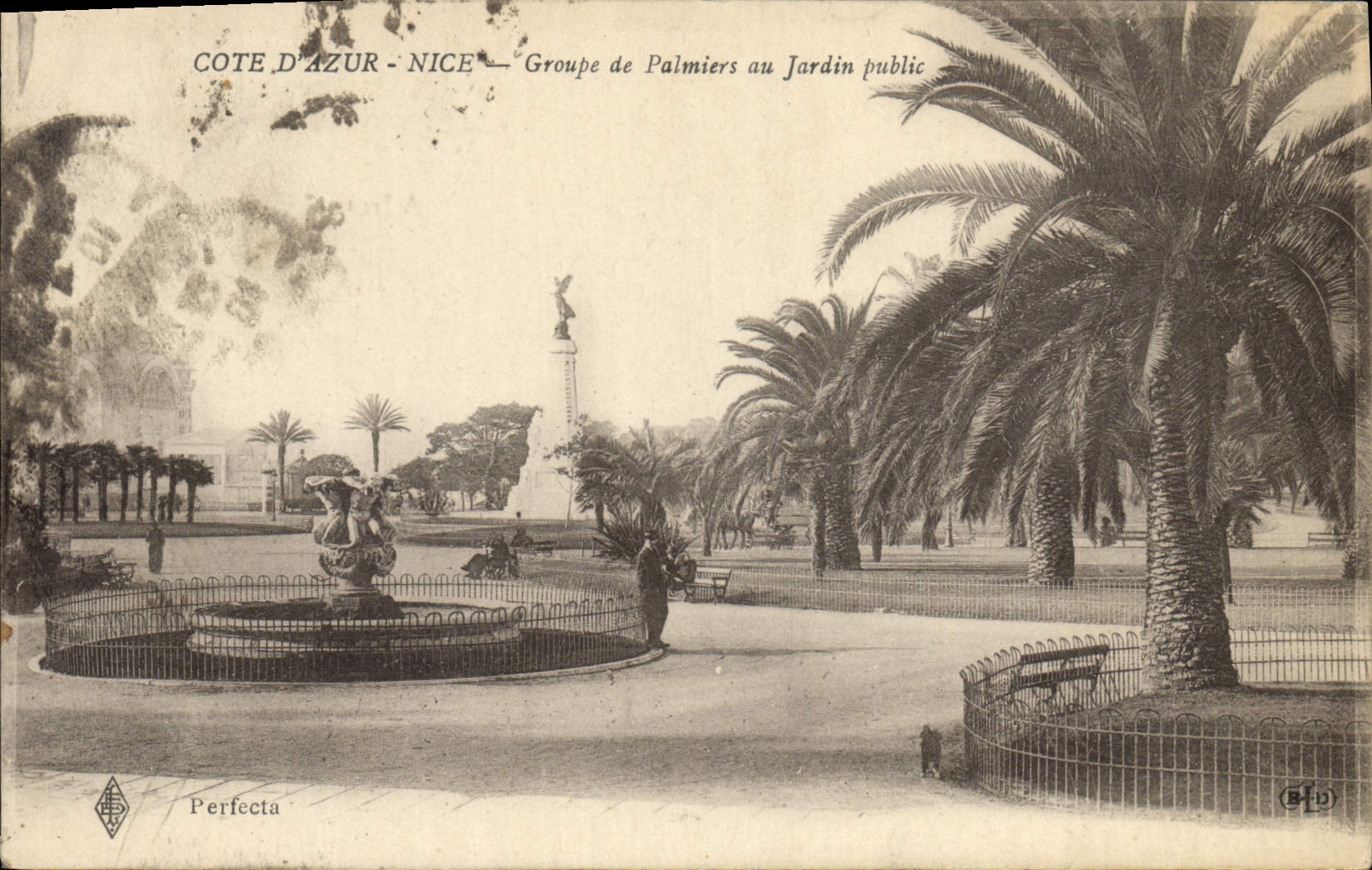 VINTAGE POSTCARD Nice Groups Palm trees with the Public garden