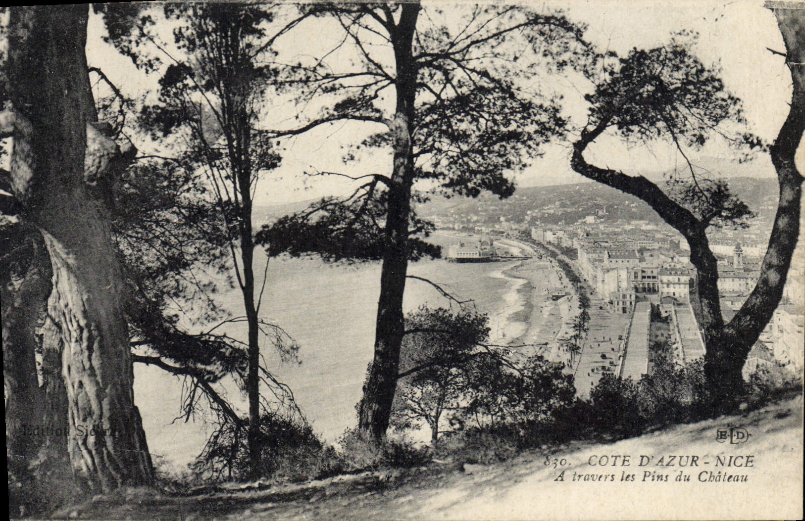 CPA Nice a travers les pins du chateau