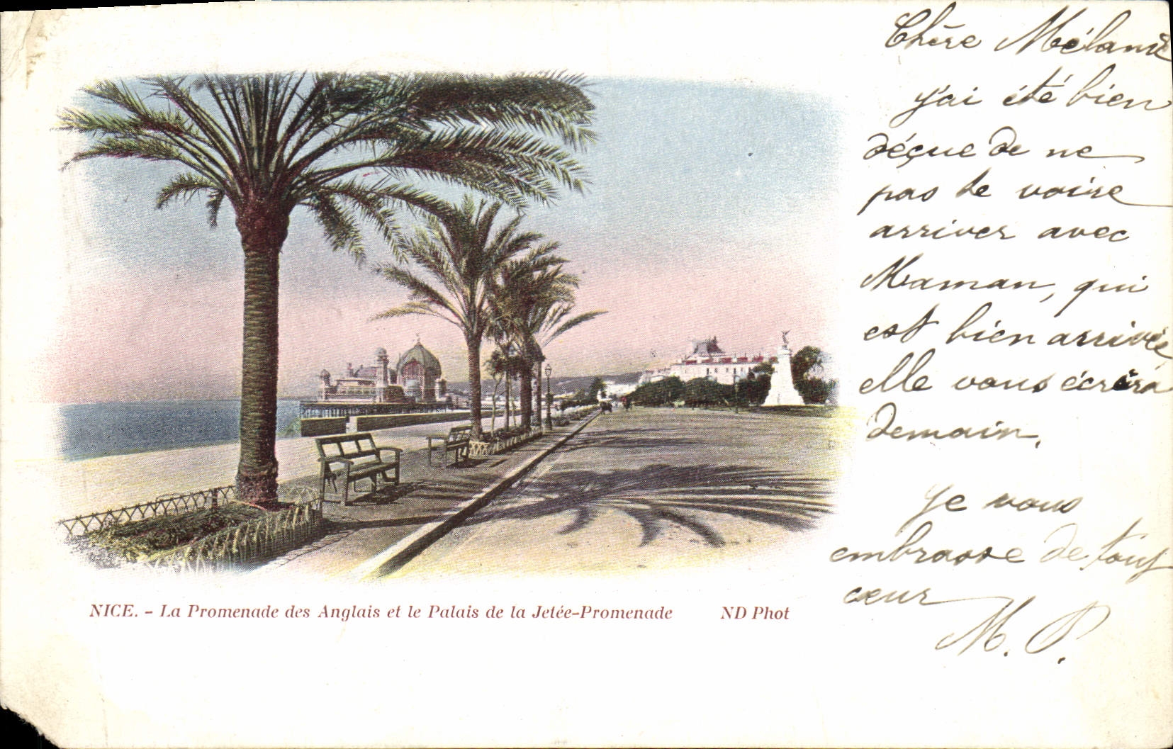 POSTAL de la VENDIMIA Niza la caminata del inglés y del paladar de la caminata del embarcadero