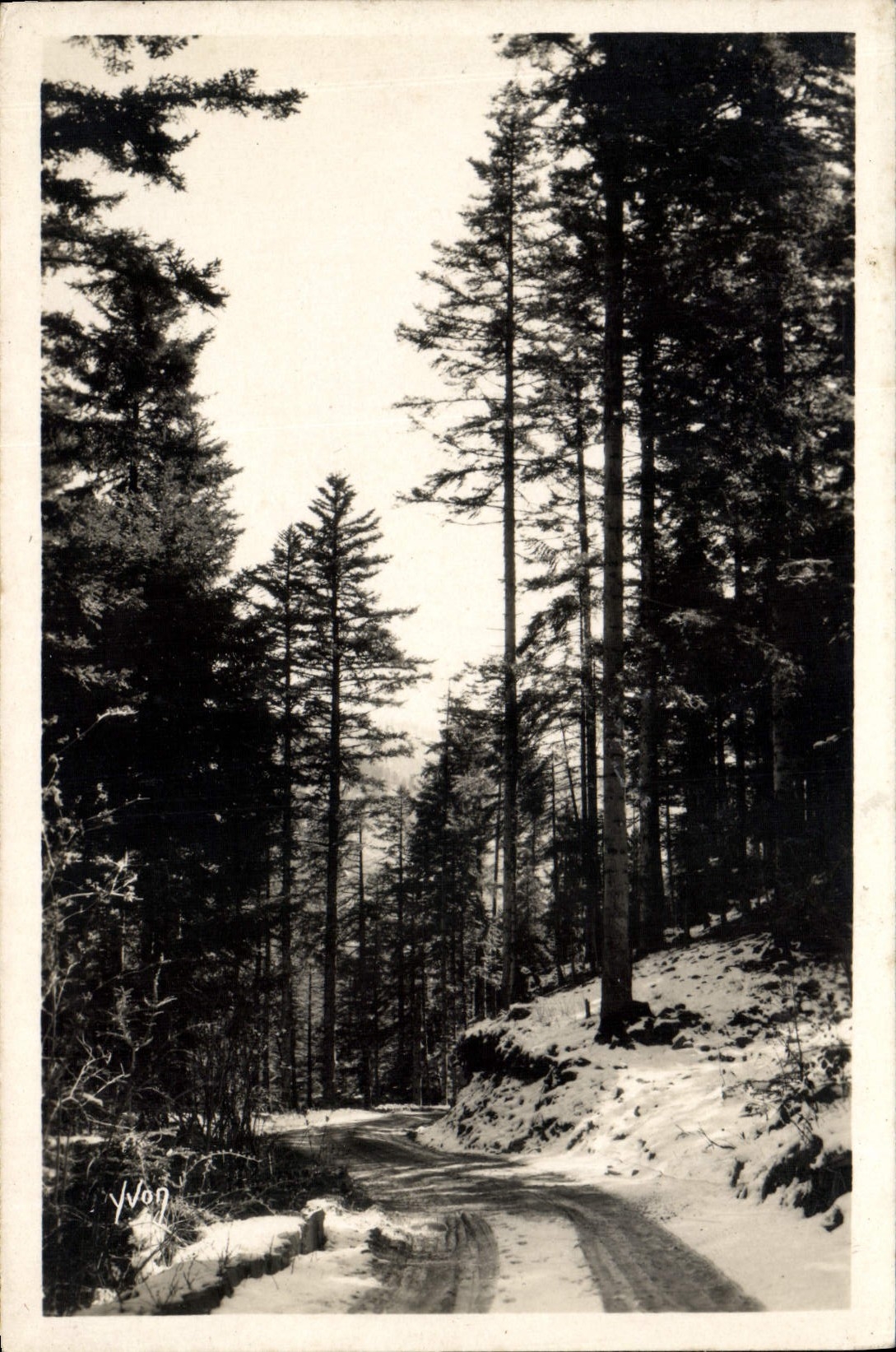 VINTAGE POSTCARD Drill De Turini