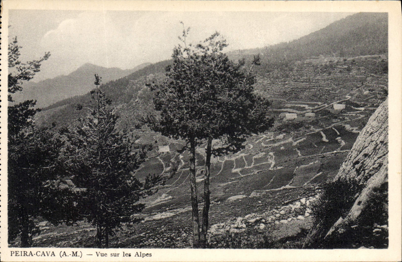 CPA Peira Cava Vue Sur Les Alpes