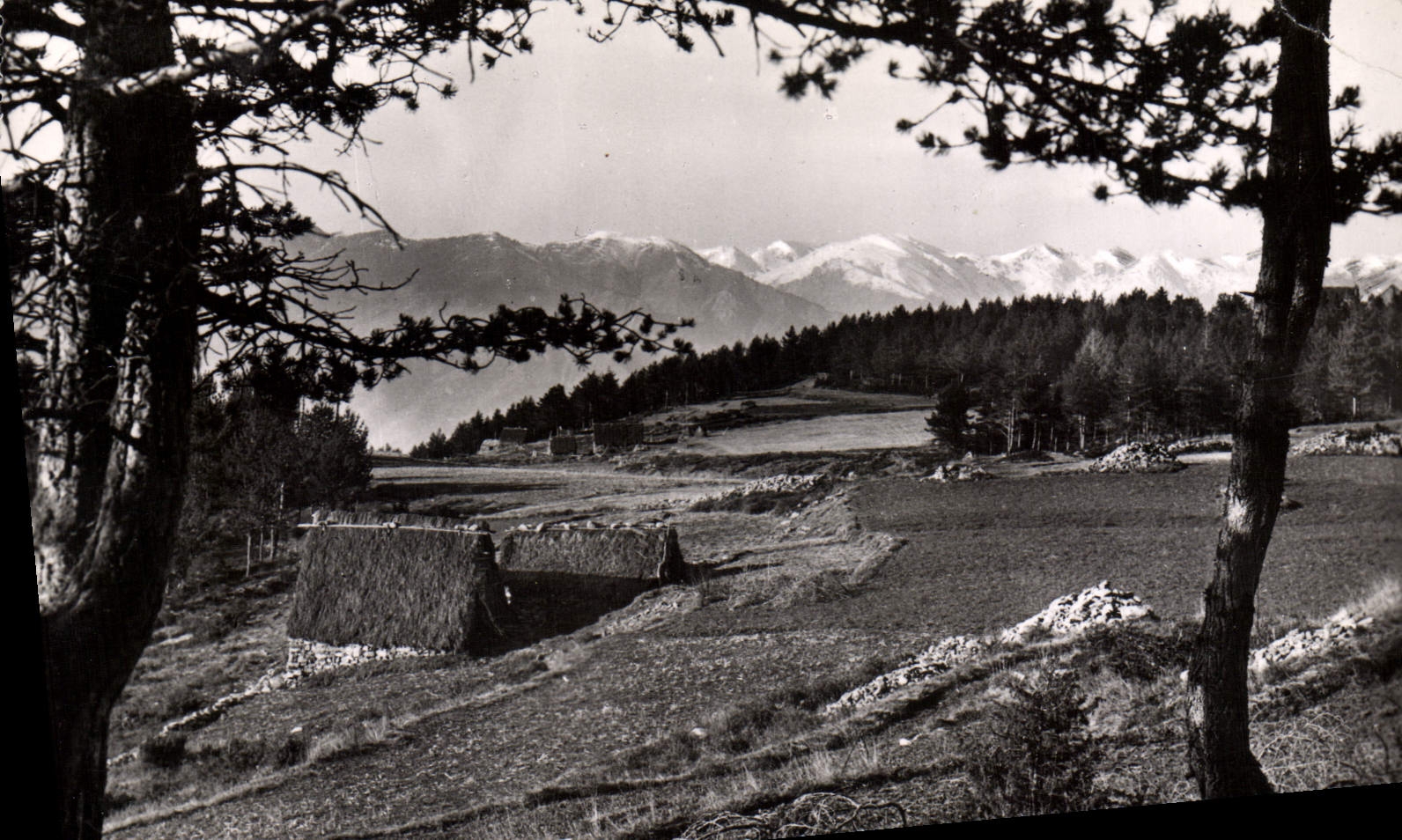 CPA Peira Cava Vue sur les Alpes