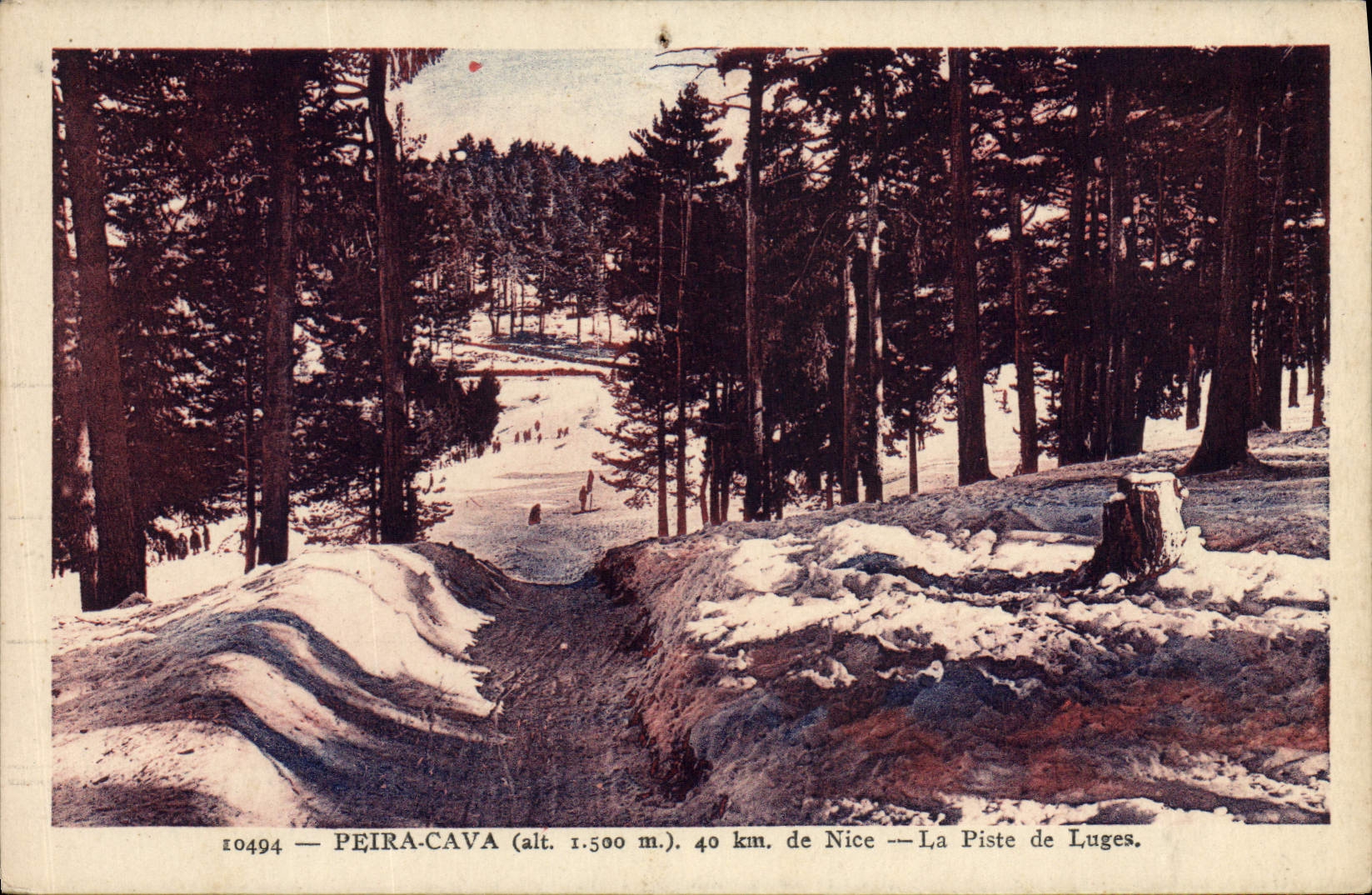 VINTAGE POSTCARD Peira Undermined of Nice the Track of Toboggans