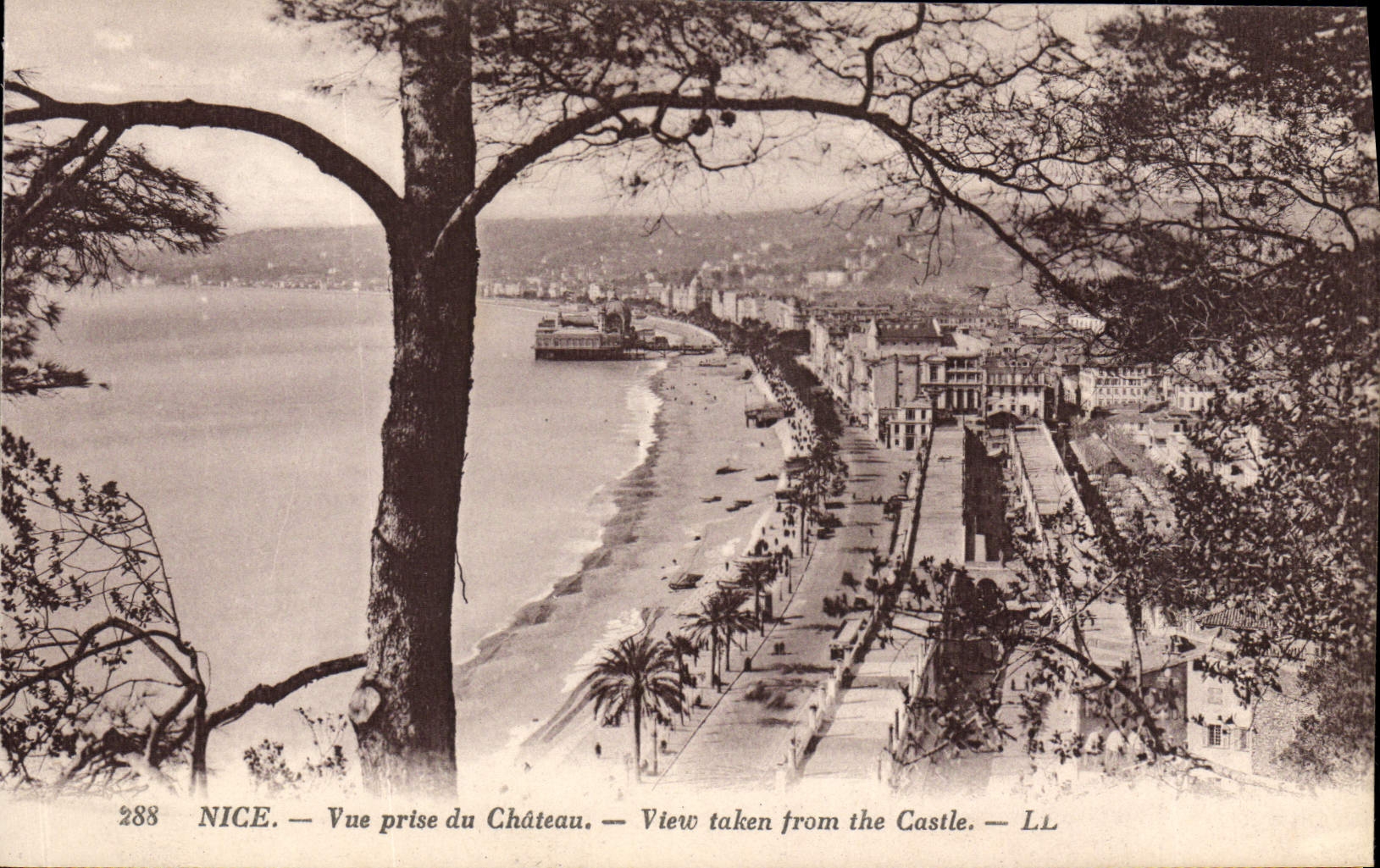 CPA Nice Vue Prise du Chateau 