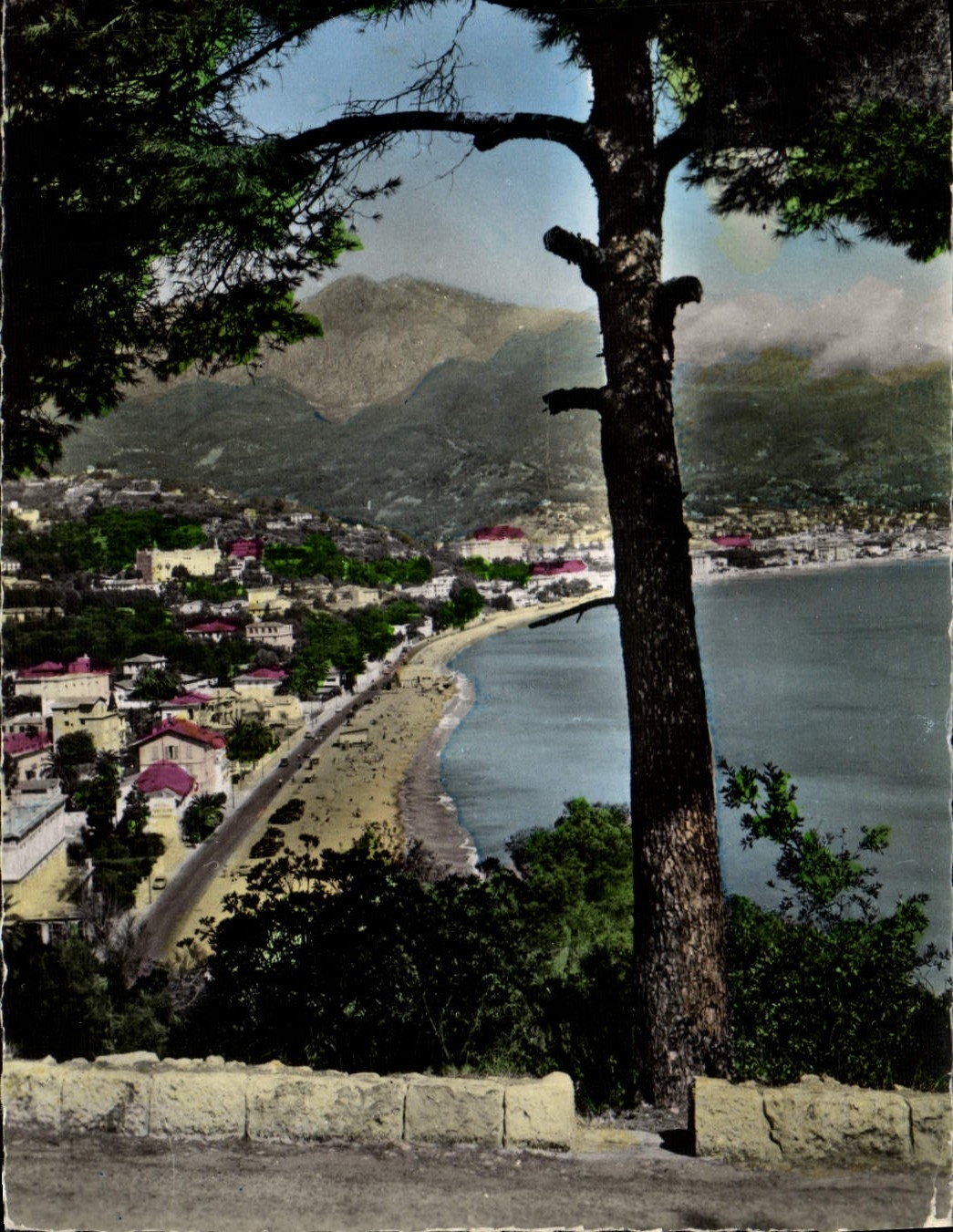 CPM Menton Vue Prise du Cap Martin