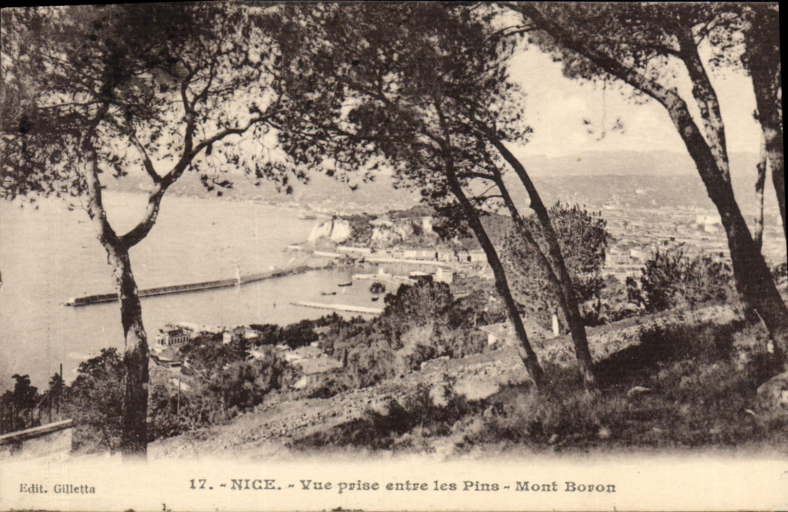 POSTAL de la VENDIMIA Niza vista entre el montaje del boro de los pinos