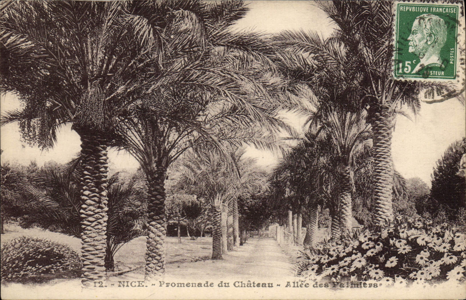 CPA Nice Promenade du Chateu Allee des Paimiers