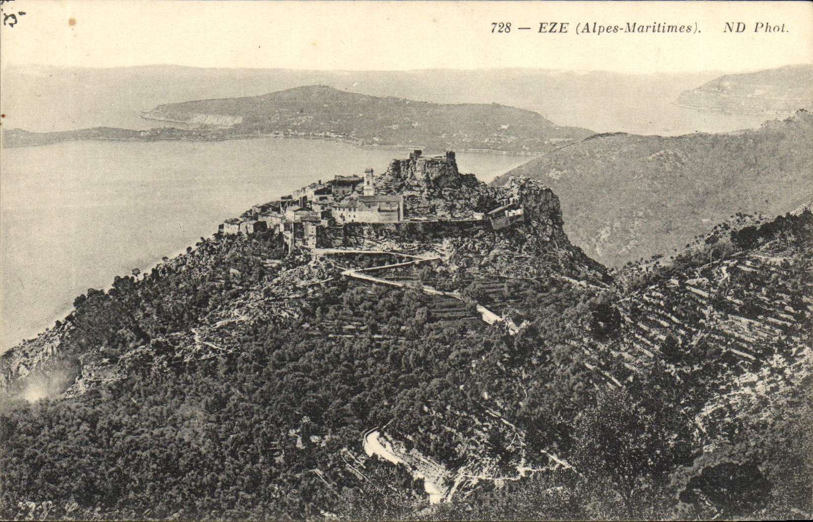 POSTAL Eze de la VENDIMIA