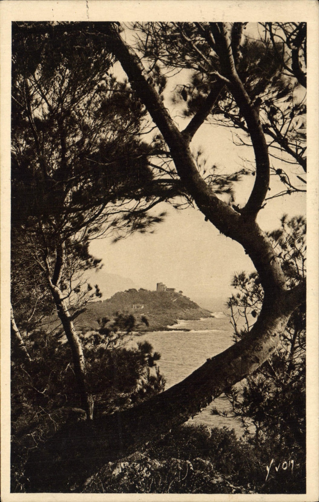 VINTAGE POSTCARD the Cape Ferrat Seen through the Pines of Alep