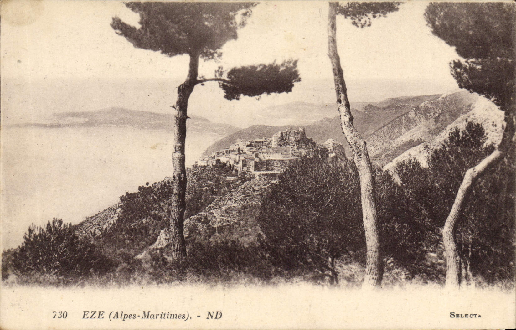 CPA Eze 