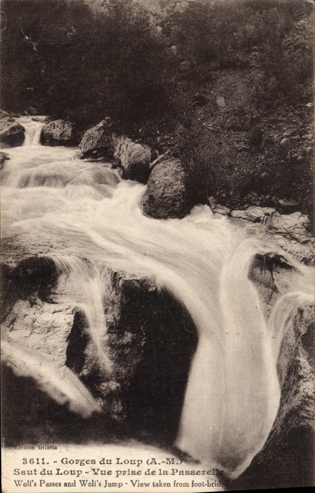 VINTAGE POSTCARD Falls of the Wolf Jump of the Wolf Seen from of the Footbridge
