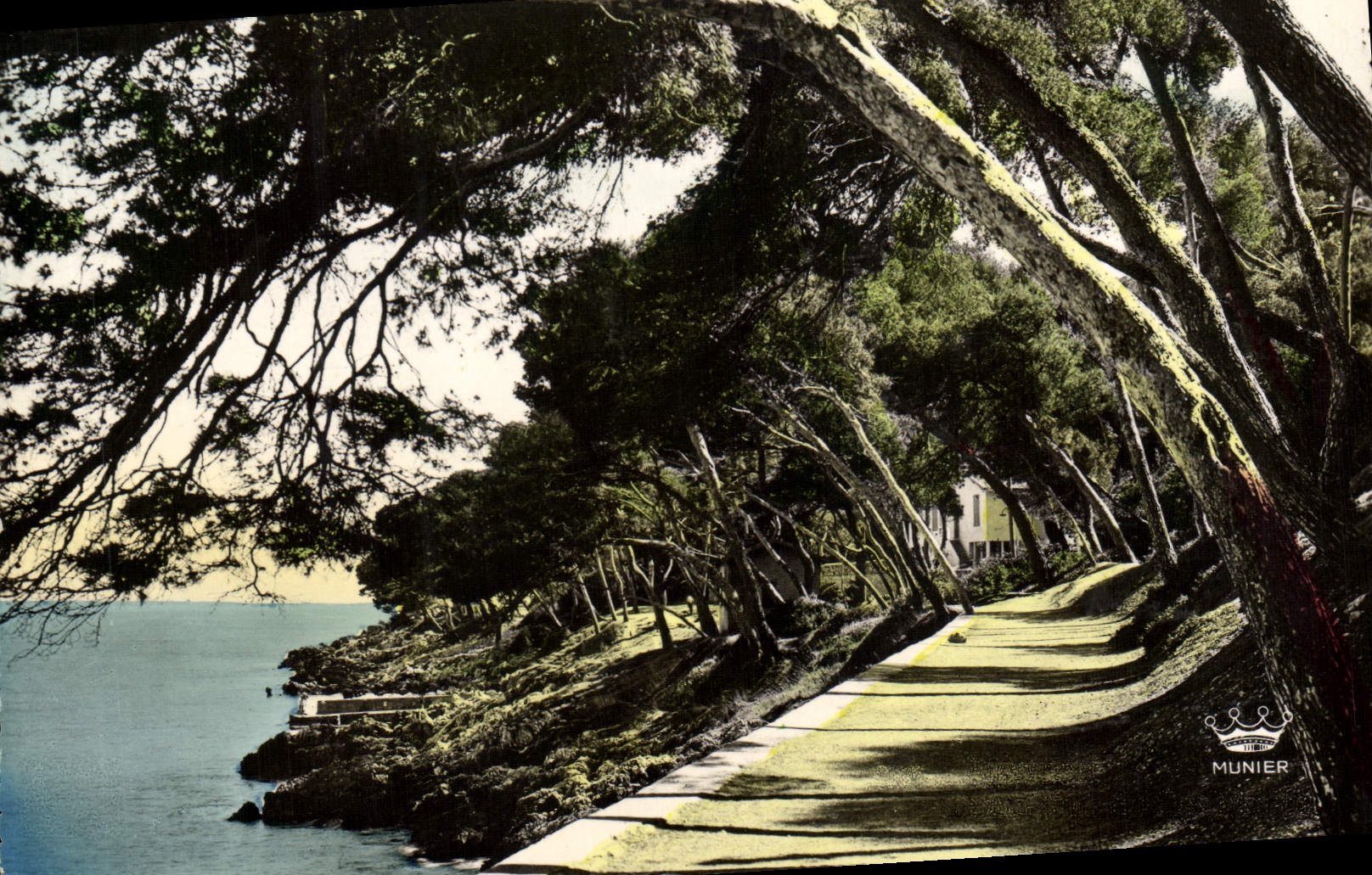 CPM Menton Sous Bois au Cap Martin