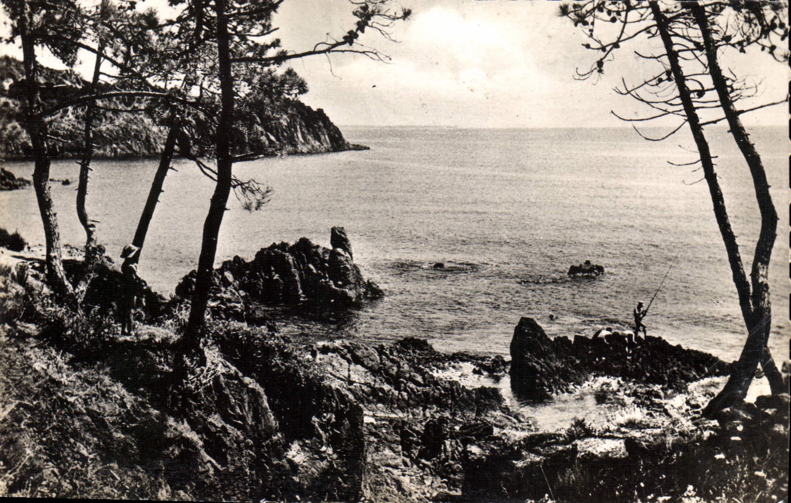 MODERN CARD Cannes Trayas