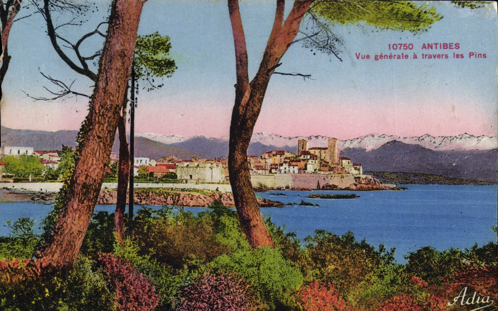 CPA Antibes Vue Generale A Travers les Pins