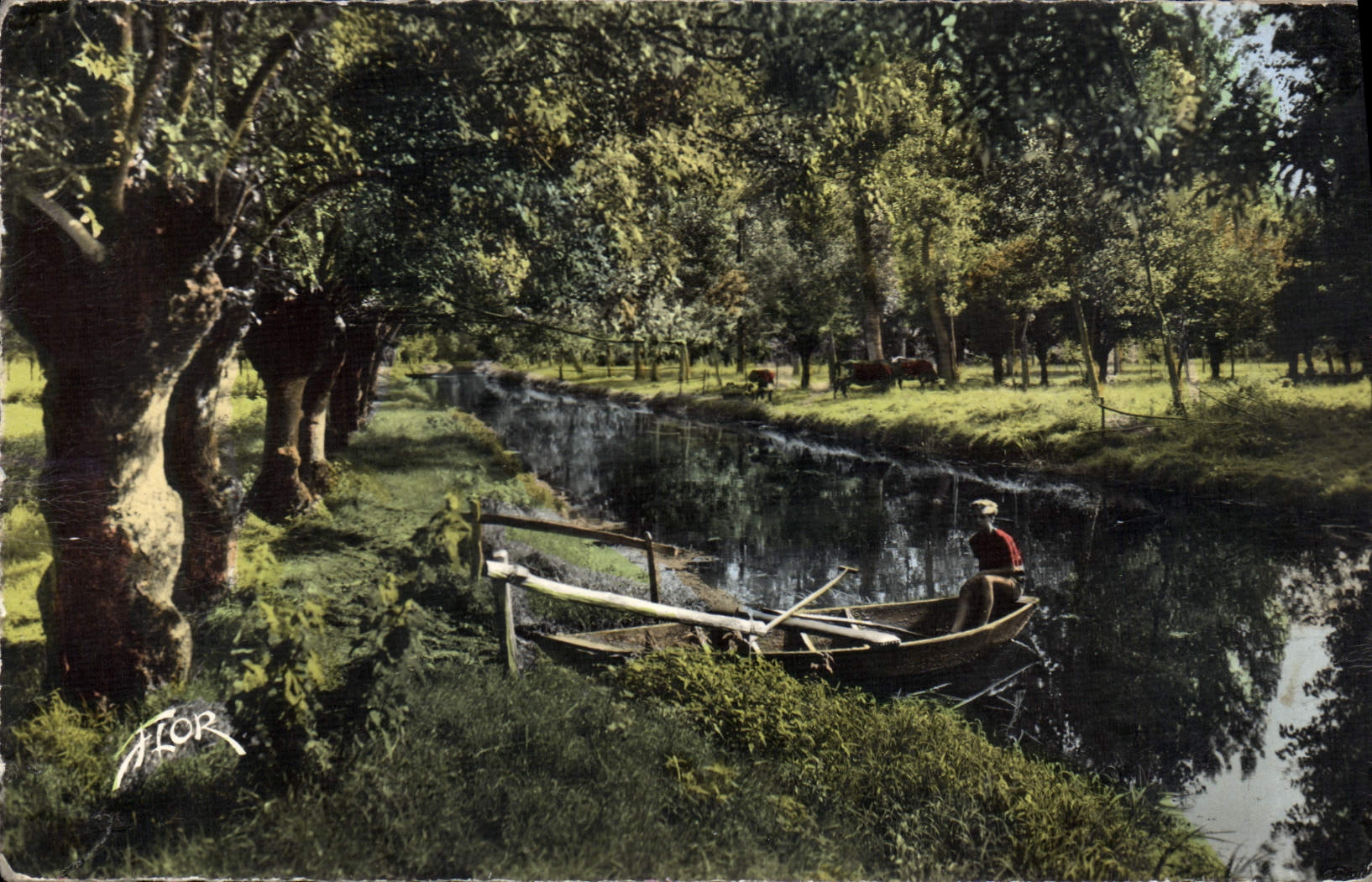 MODERN CARD Venice Green Fishing and pastures in full heart of the marshes