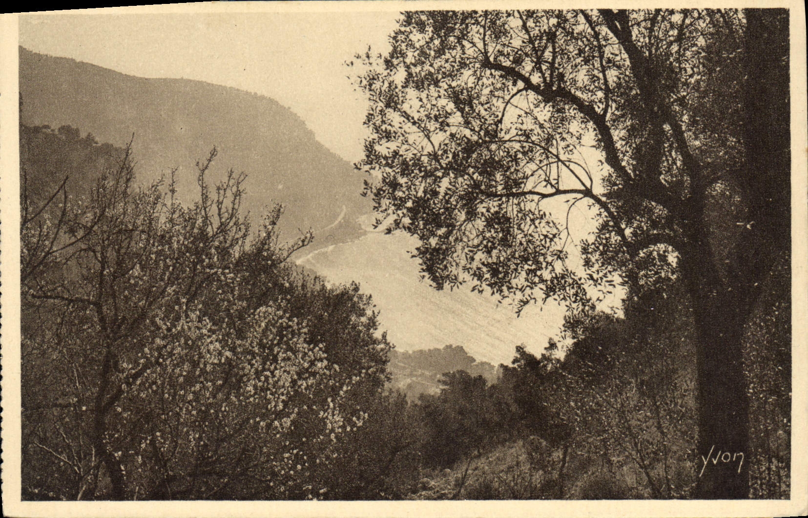 CPA Cote D'Azur Pointe De I'Esquillon