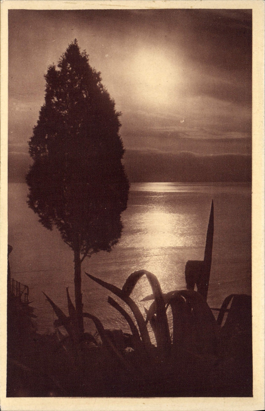 CPA Cote D'Azur Crepuscule