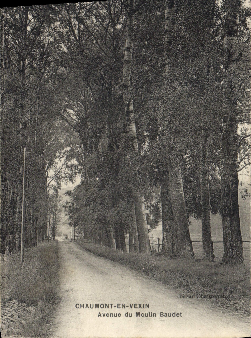 VINTAGE POSTCARD Chaumont In Vexin Avenue Of Molin Donkey