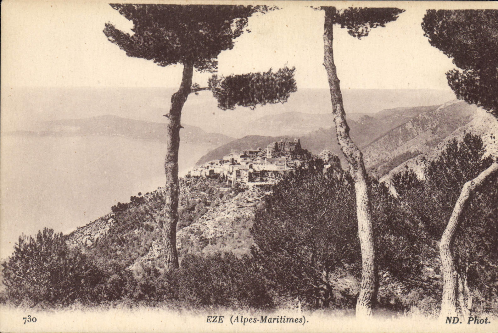 CPA Eze
