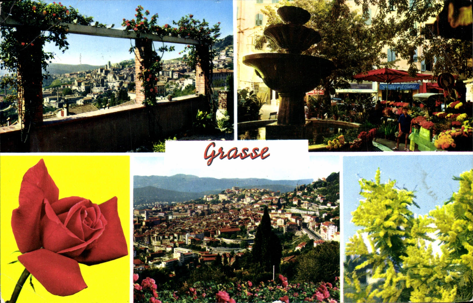 POSTAL MODERNA mercado graso de la visión con la opinión de las flores