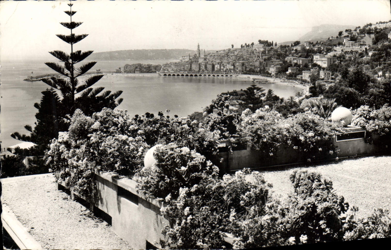 CPM La Cote D'Azur Menton Vue Generale