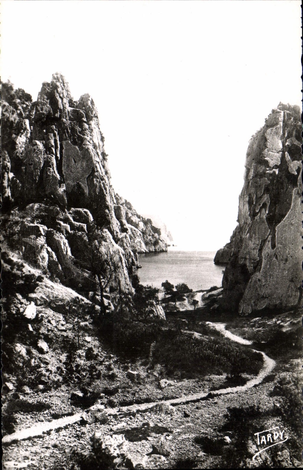 MODERN CARD Blackcurrant the creek of In vau