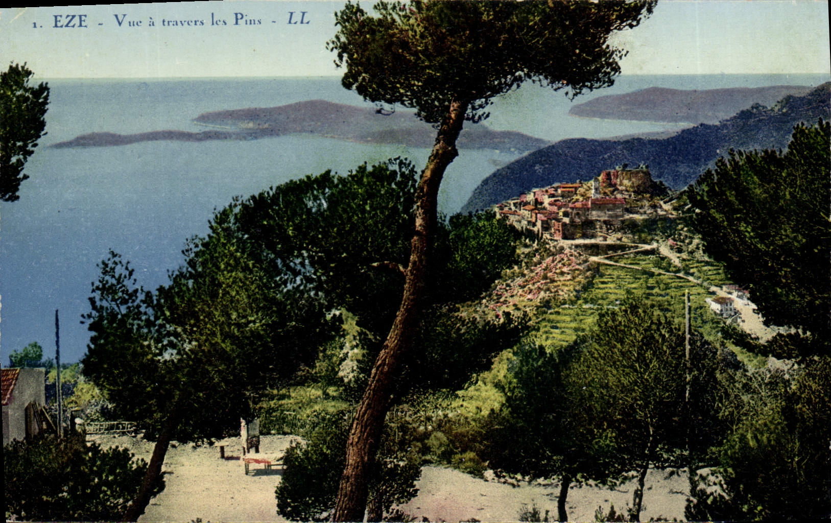 POSTAL Eze de la VENDIMIA visto a través de los pinos