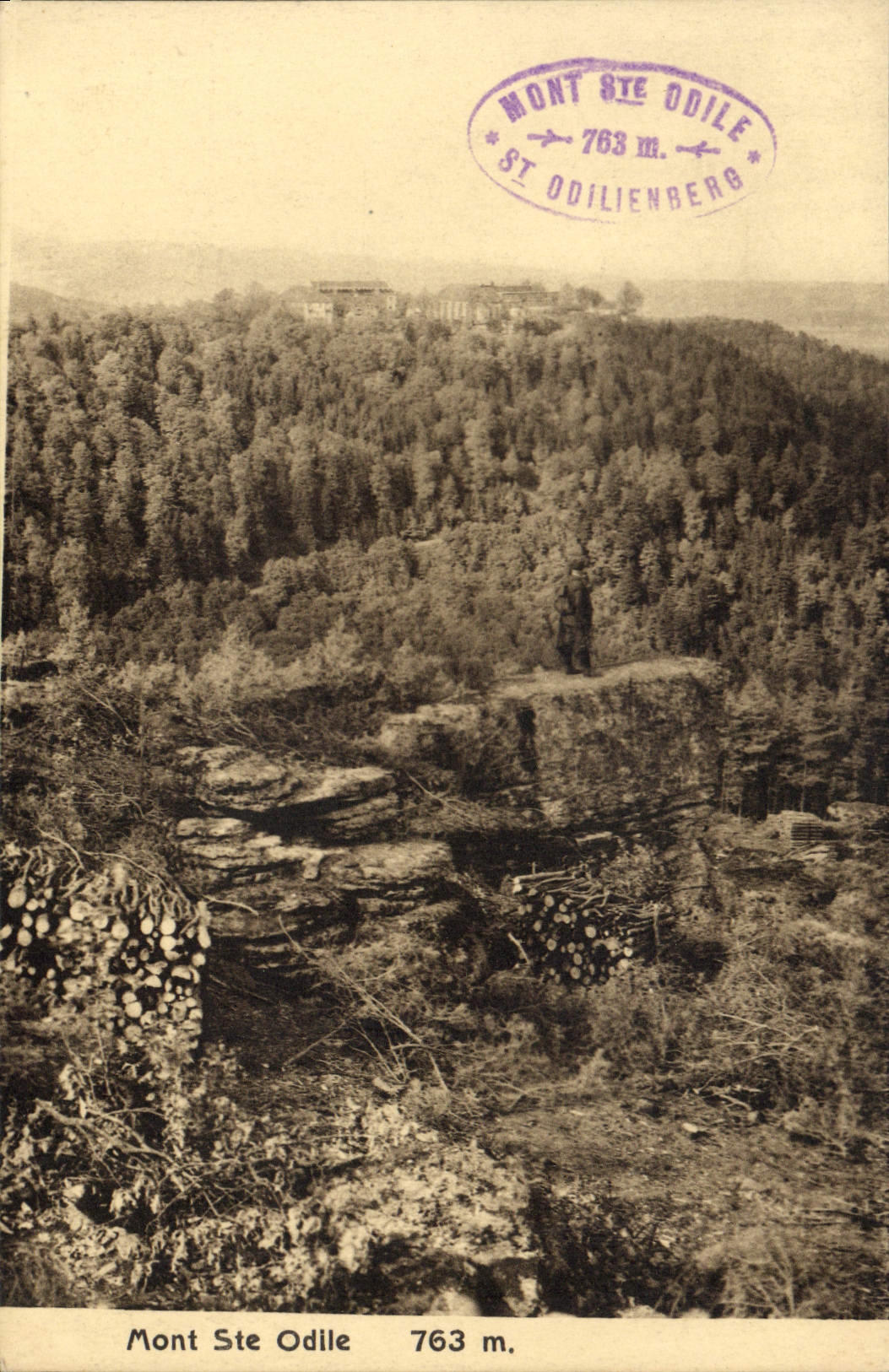 VINTAGE POSTCARD Mount co. Odile