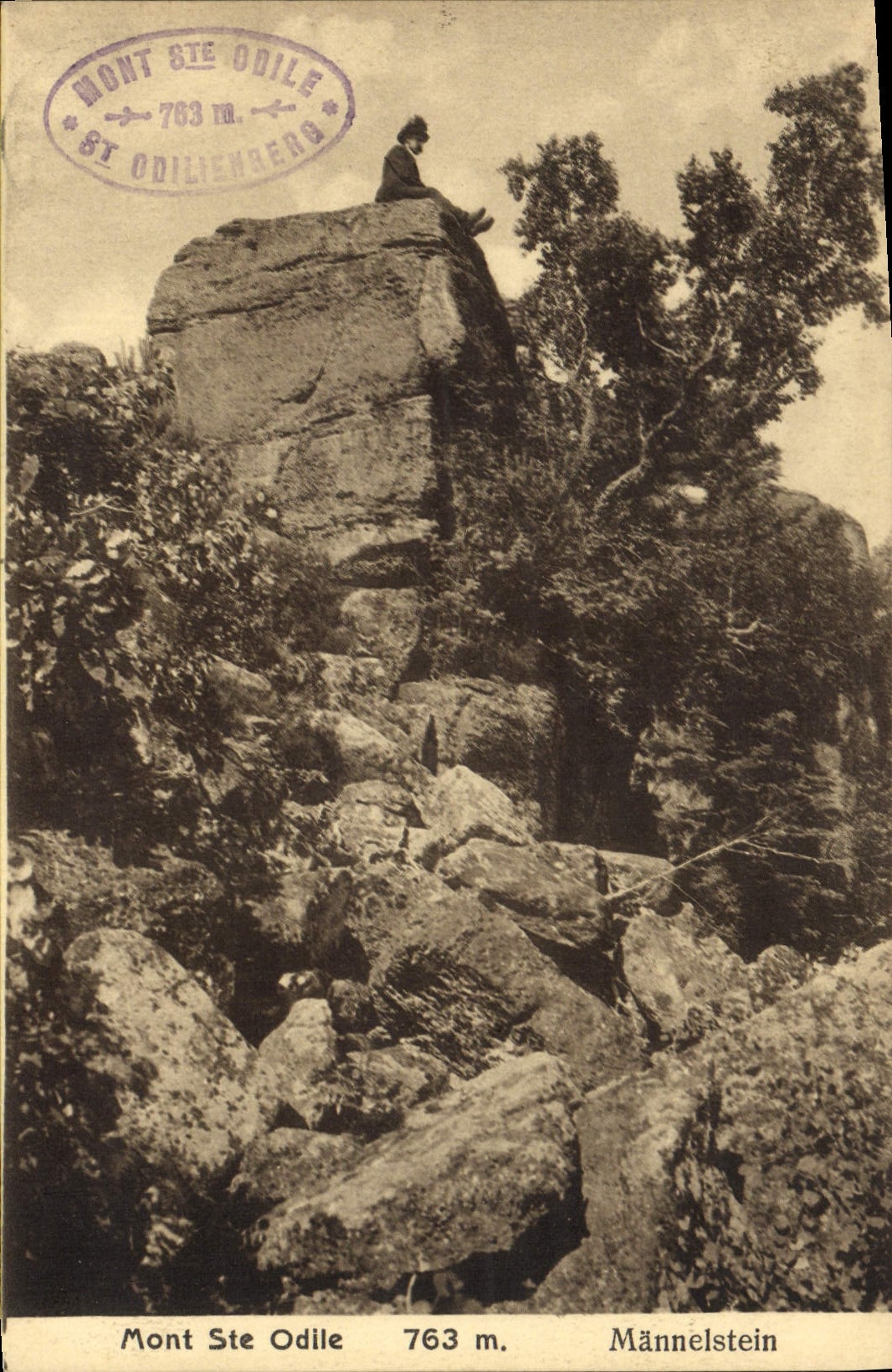 VINTAGE POSTCARD Mount co. Odile Mannesltein