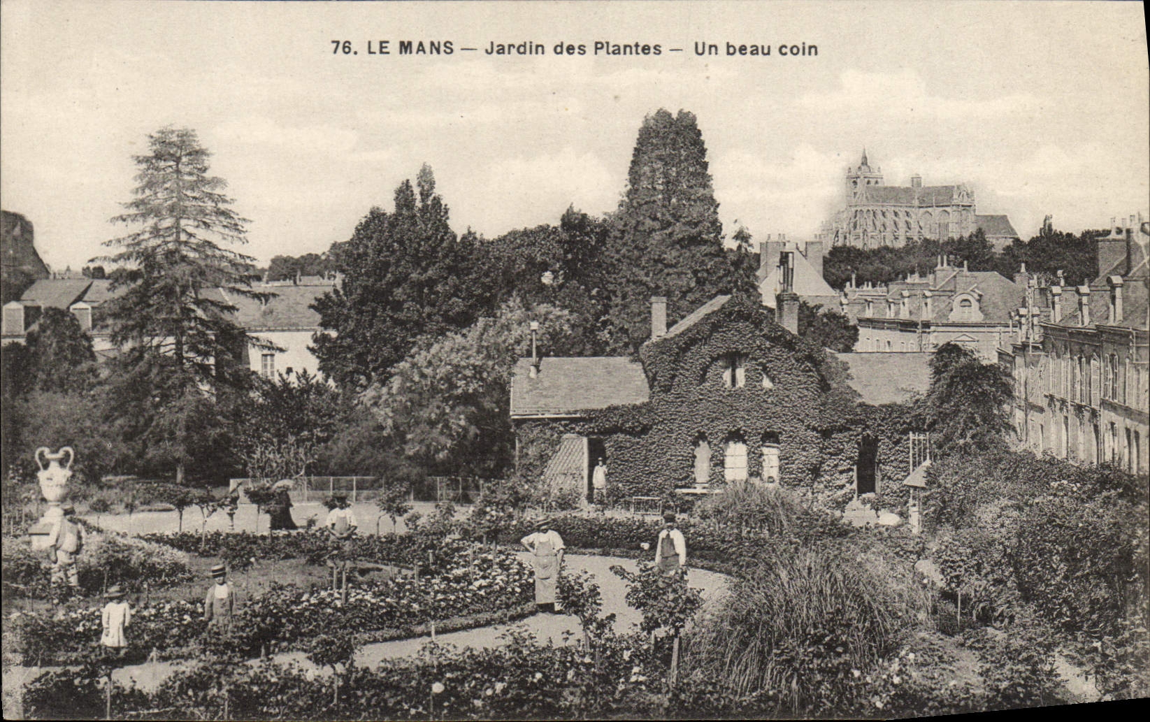 La POSTAL de la VENDIMIA sirve el jardín botánico una esquina hermosa