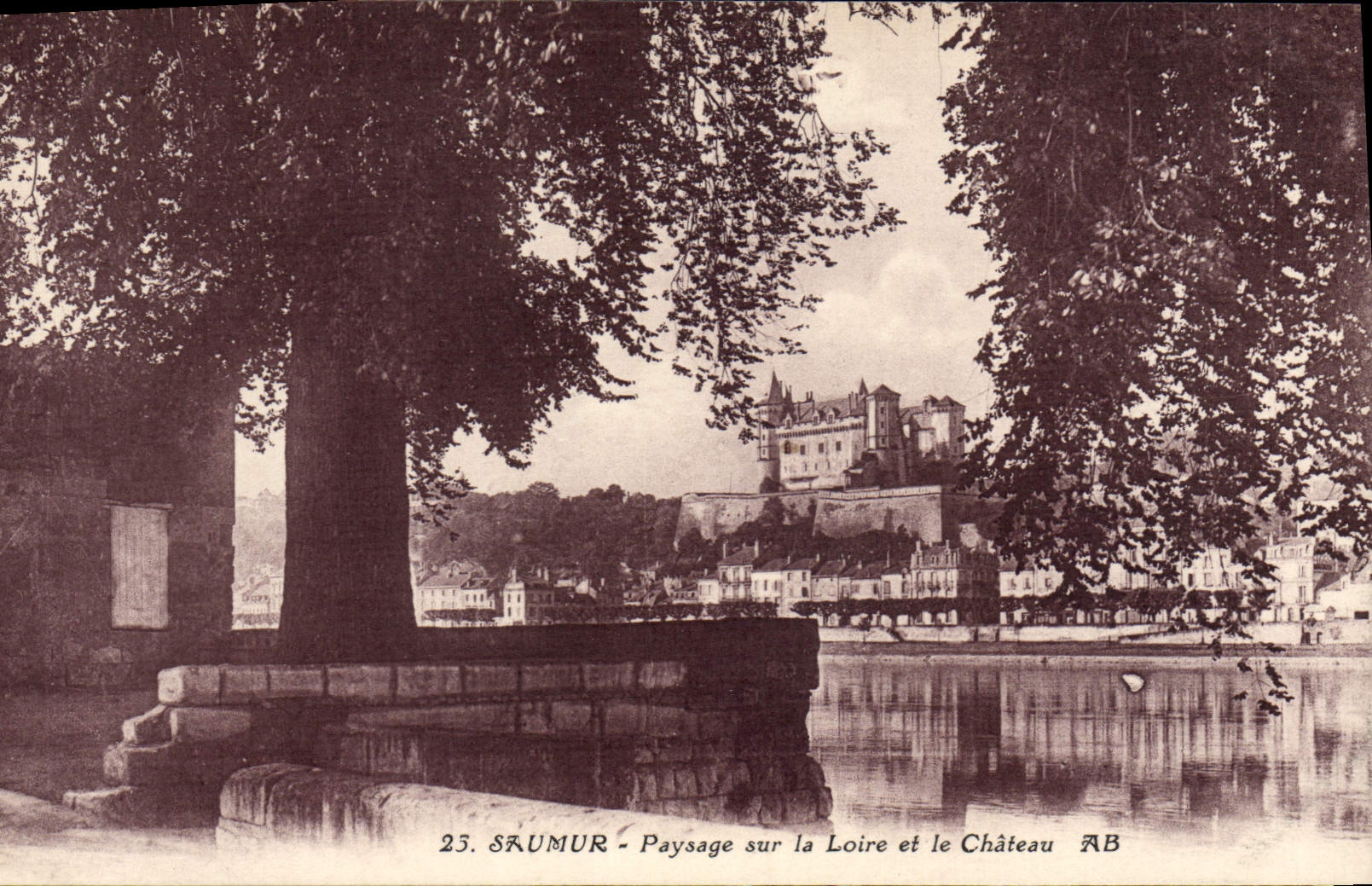 VINTAGE POSTCARD Saumur Landscape On the Loire and the Castle