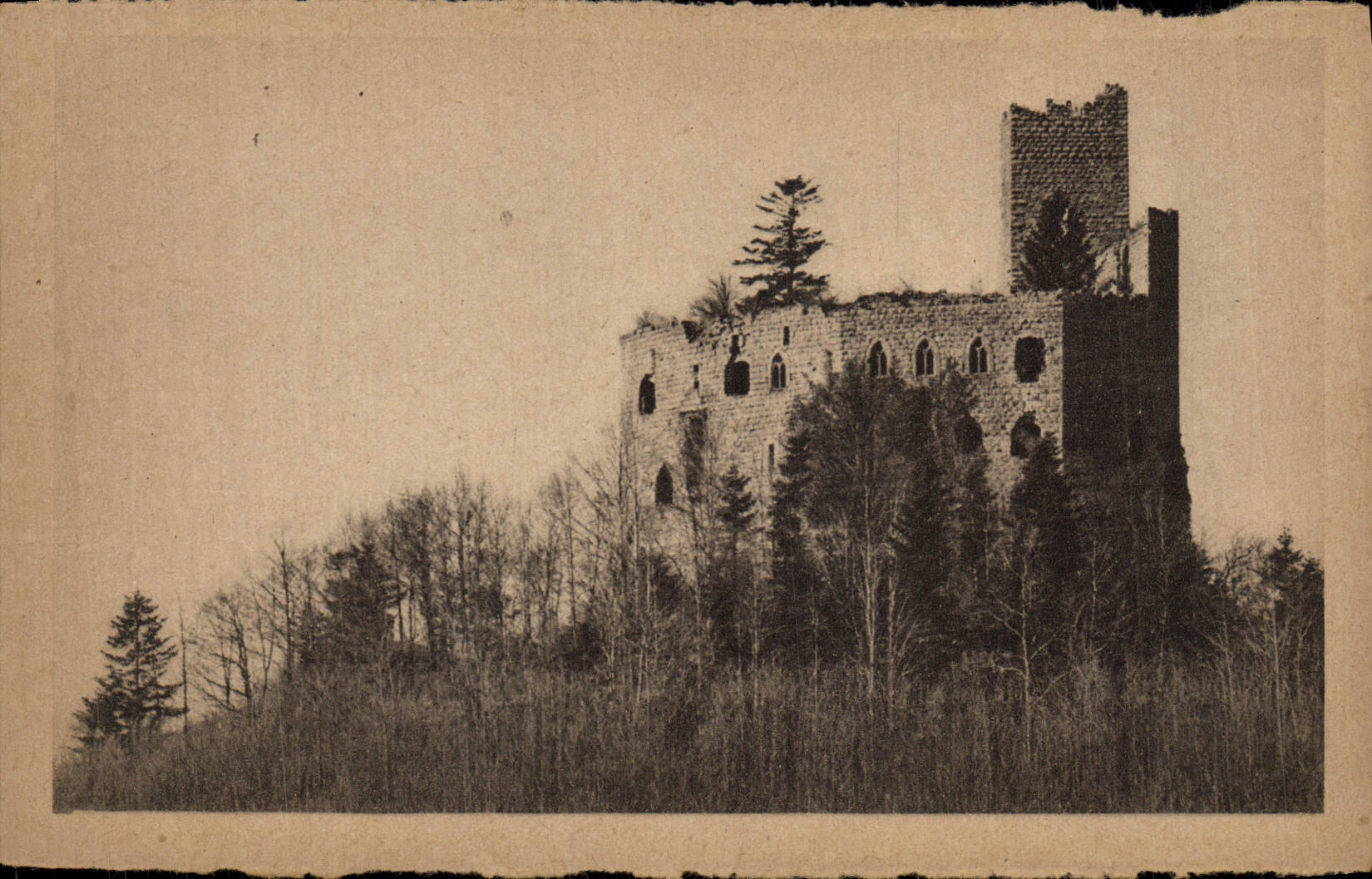 VINTAGE POSTCARD Barr Spesbourg Ruins