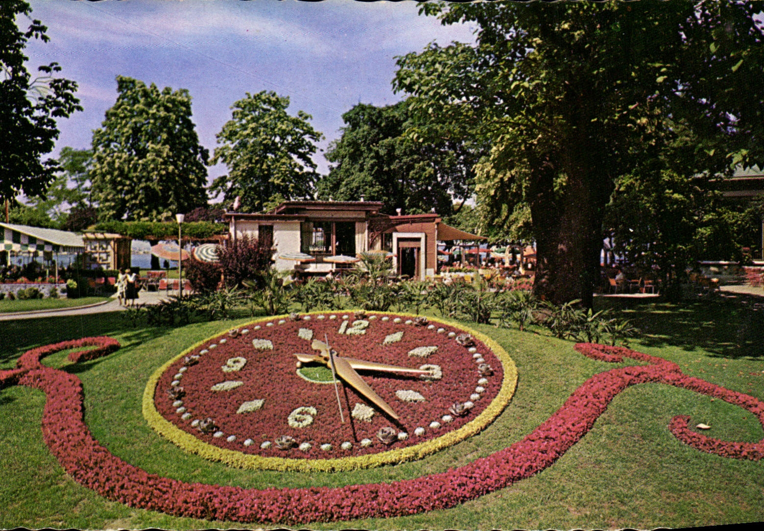 CPM Geneve L'horologe fleurie