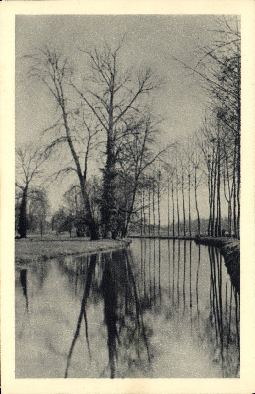 CPA Riviere