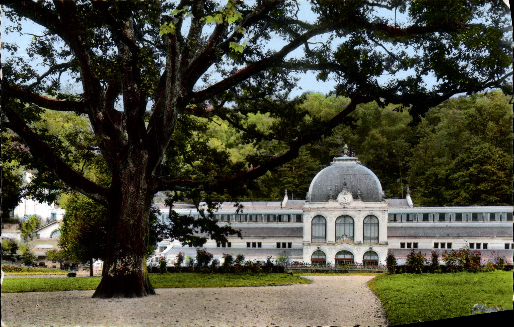 MODERN CARD St les Bains Honors the Oak Centenary and the hydropathic establishment