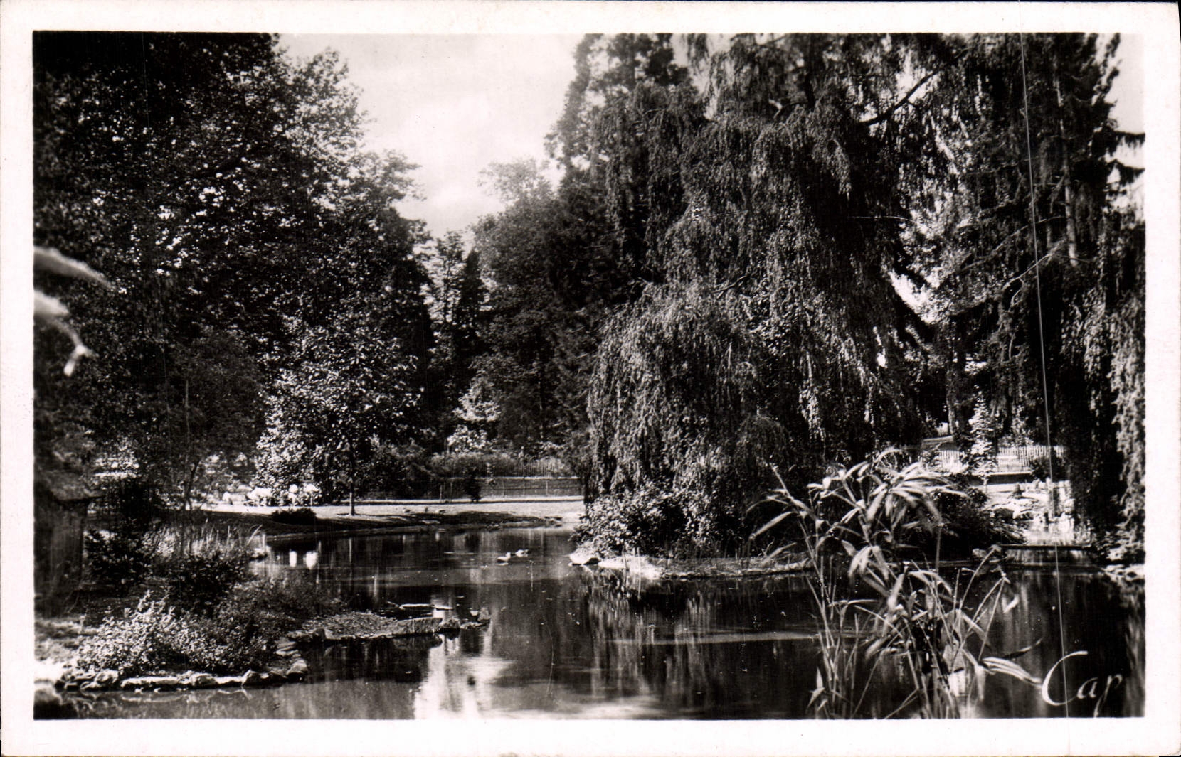 CPA Vichy Le Bassin dans les Nouveaux Parcs