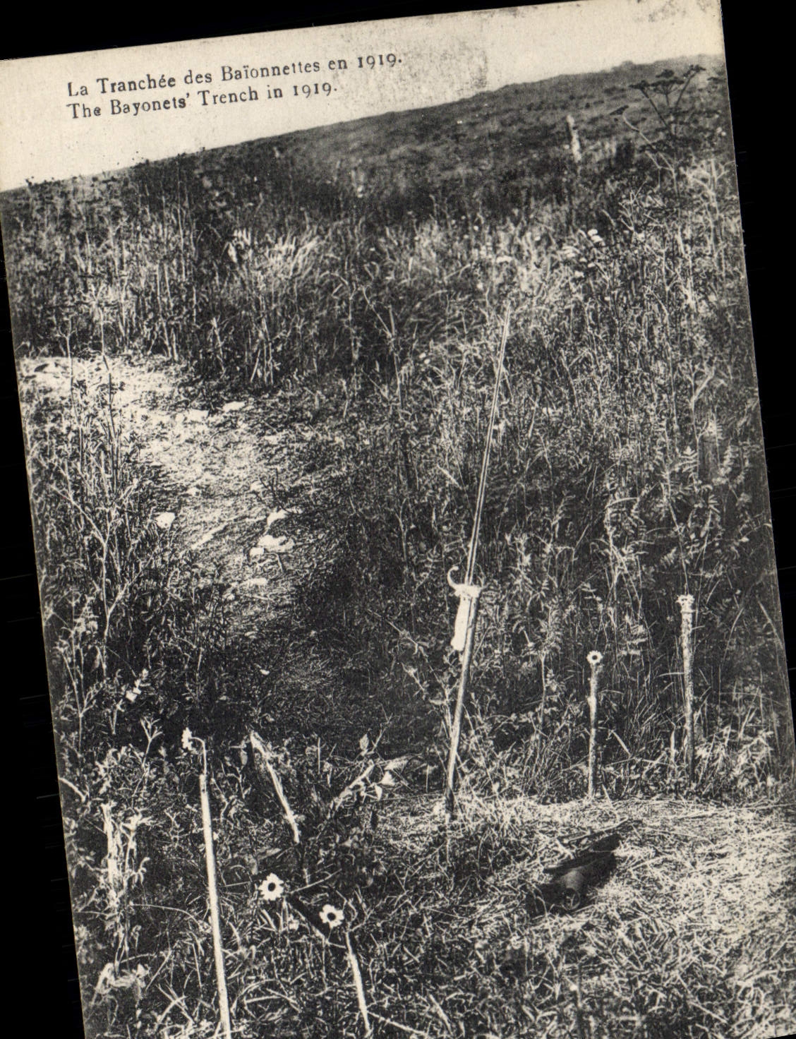 VINTAGE POSTCARD the trench of the bayonets in 1919 Militaria