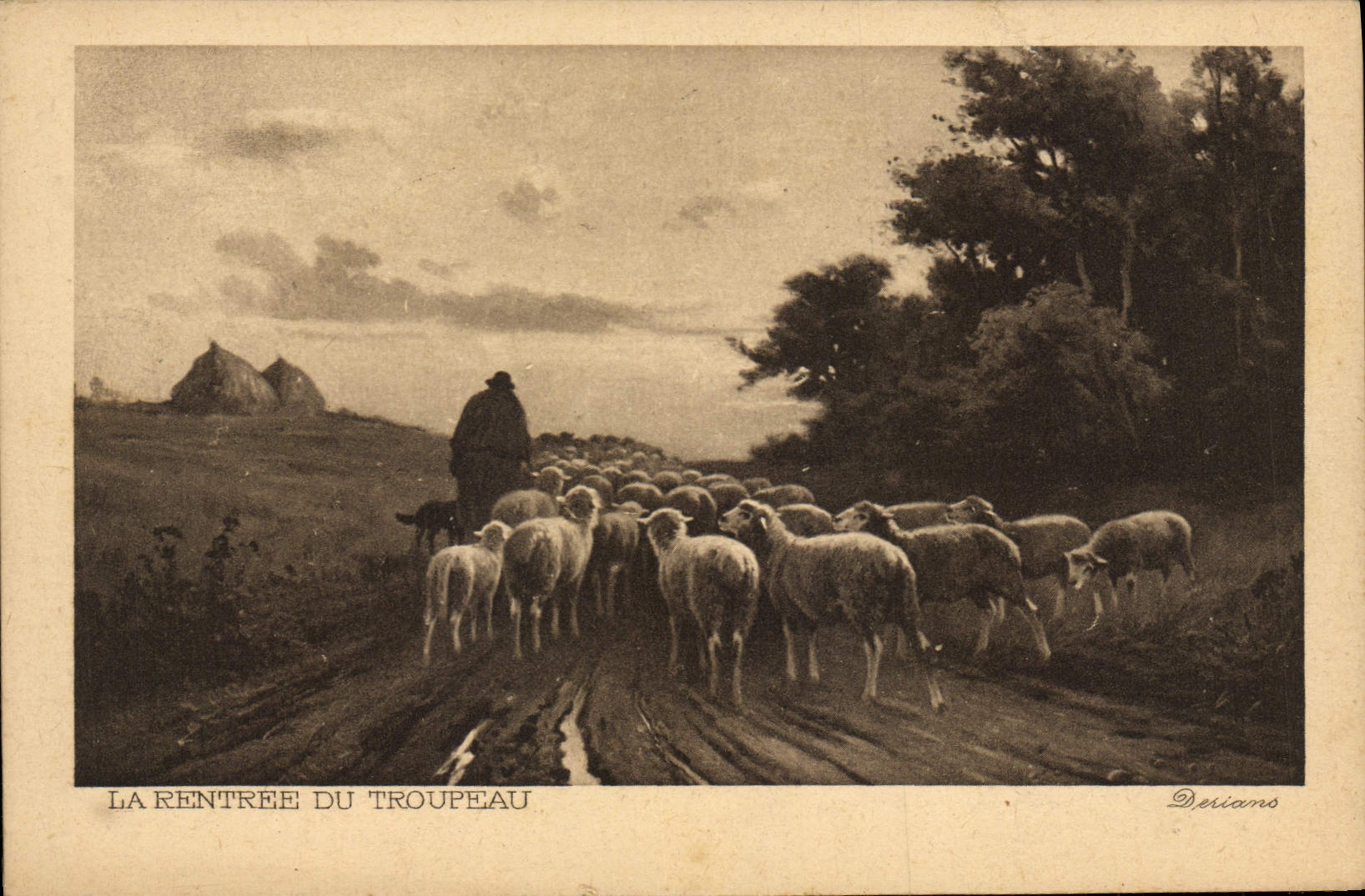 CPA La Rentree Du Troupeau Moutons