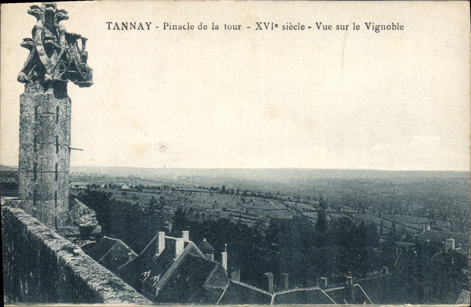 VINTAGE POSTCARD Tannay Pinnacle Of the Tower Seen On the Vineyard