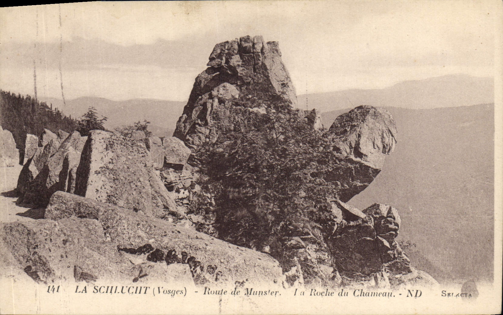 CPA La Schlucht Route De Munster la roche du chameau