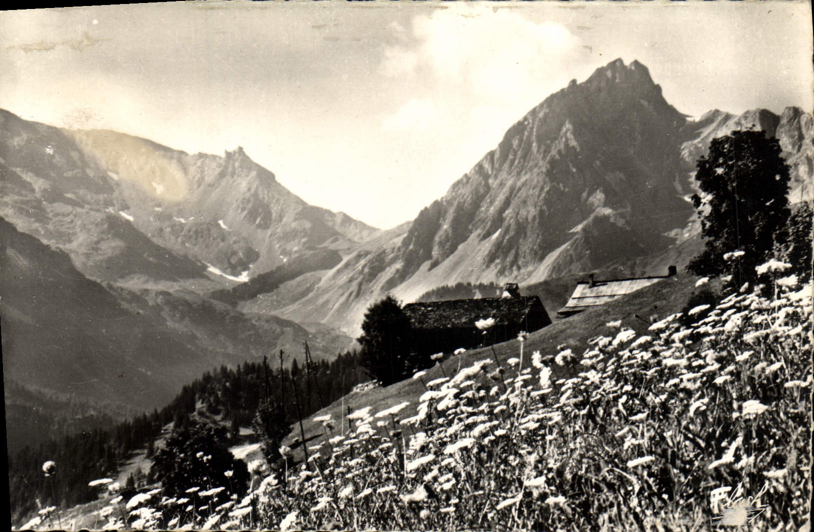 MODERN CARD Alpine Landscape