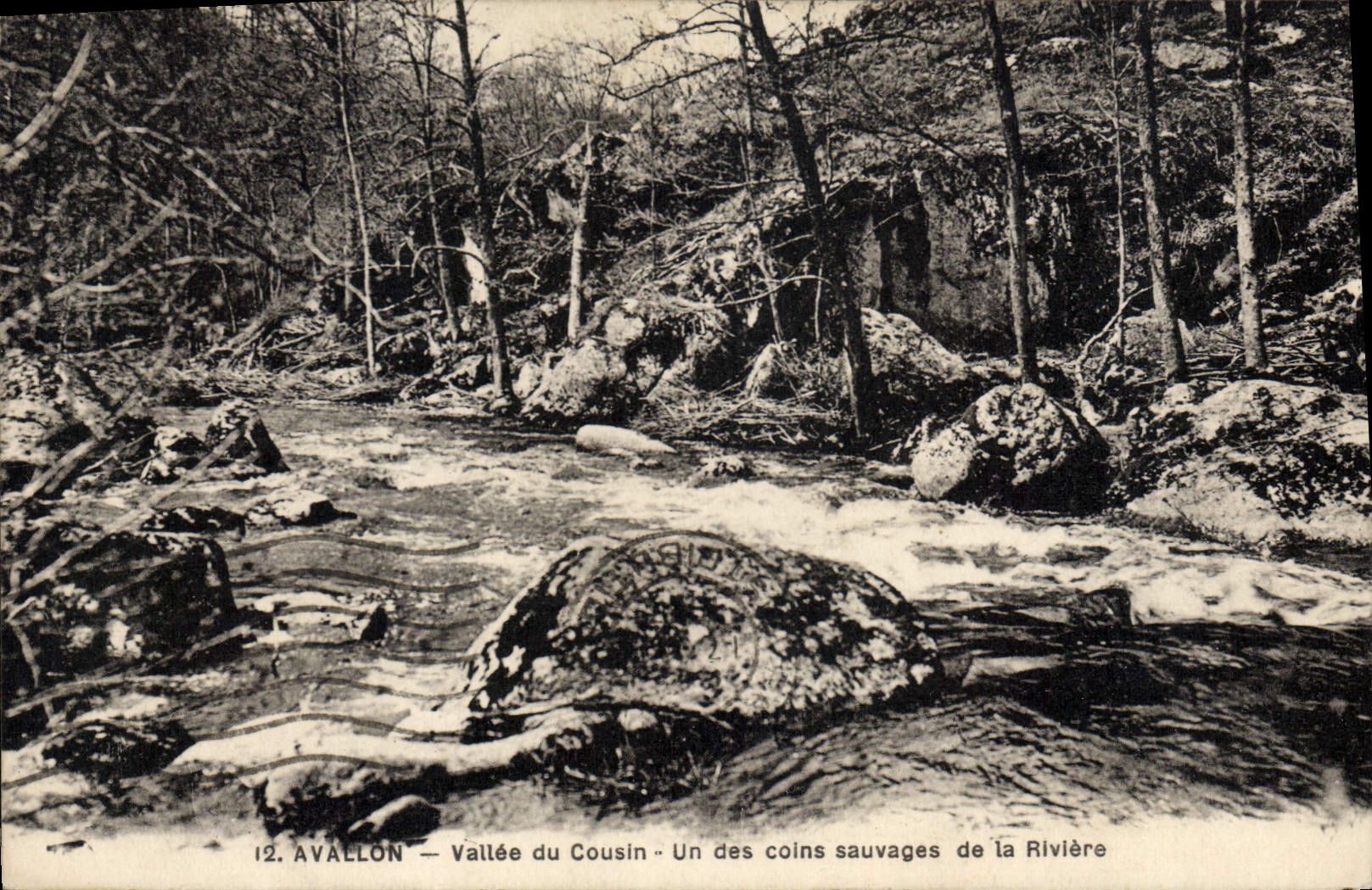 Valle de Avallon de la POSTAL de la VENDIMIA del primo uno de las esquinas salvajes del río