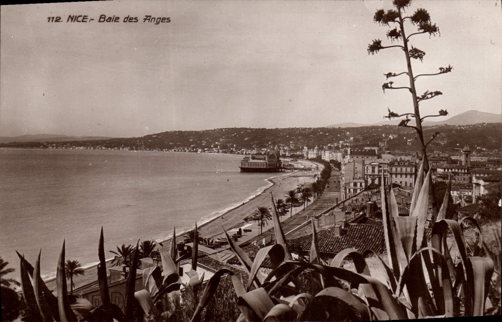 Bahía de la POSTAL de la VENDIMIA Niza de los ángeles