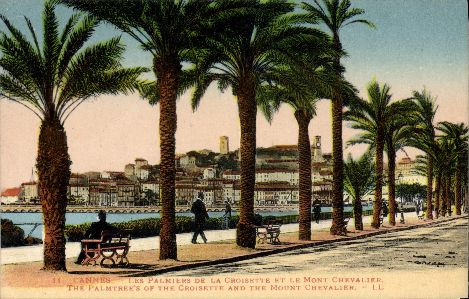 CPA Cannes Les Palmiers De la Croisette et le Mont Chevalier 
